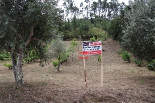 Seiça Ourém 土地 foto 326359