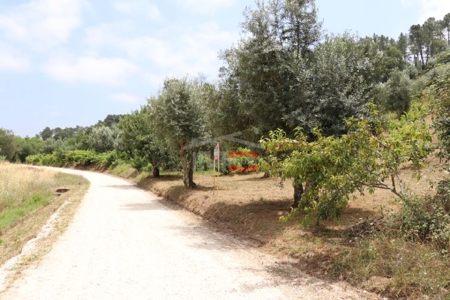 for sale terrain Seiça Ourém 2