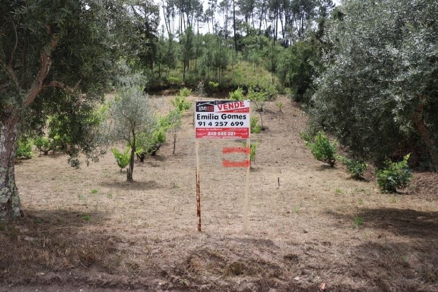 for sale terrain Seiça Ourém 3