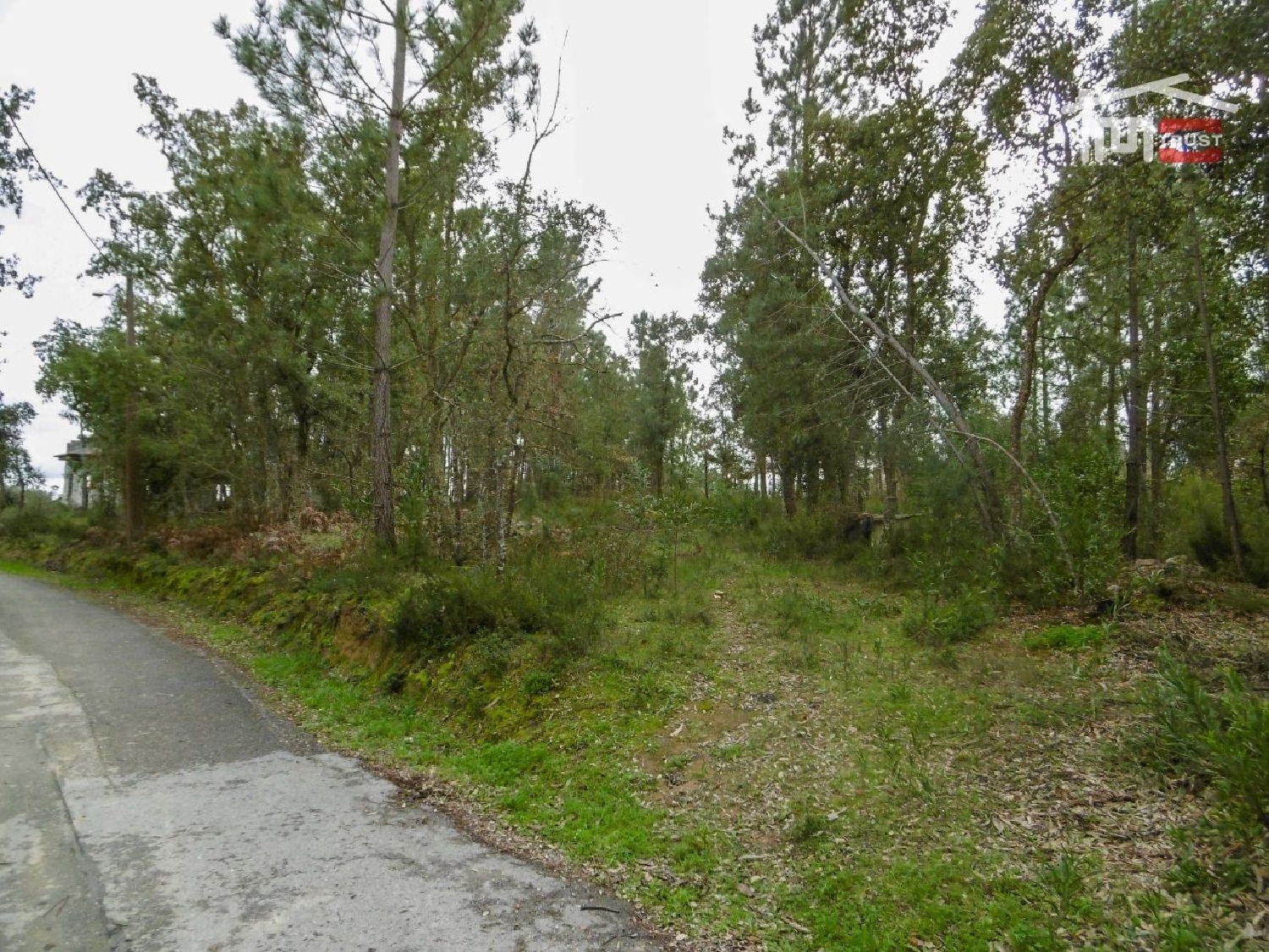 for sale terrain Seiça Ourém 3