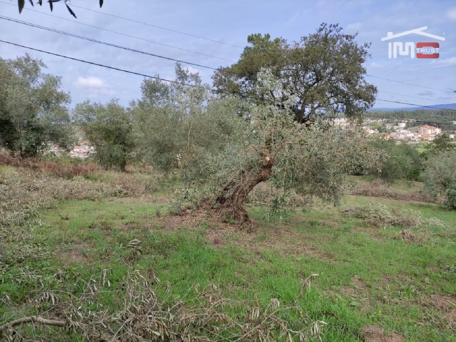  for sale terrain Seiça Ourém 1