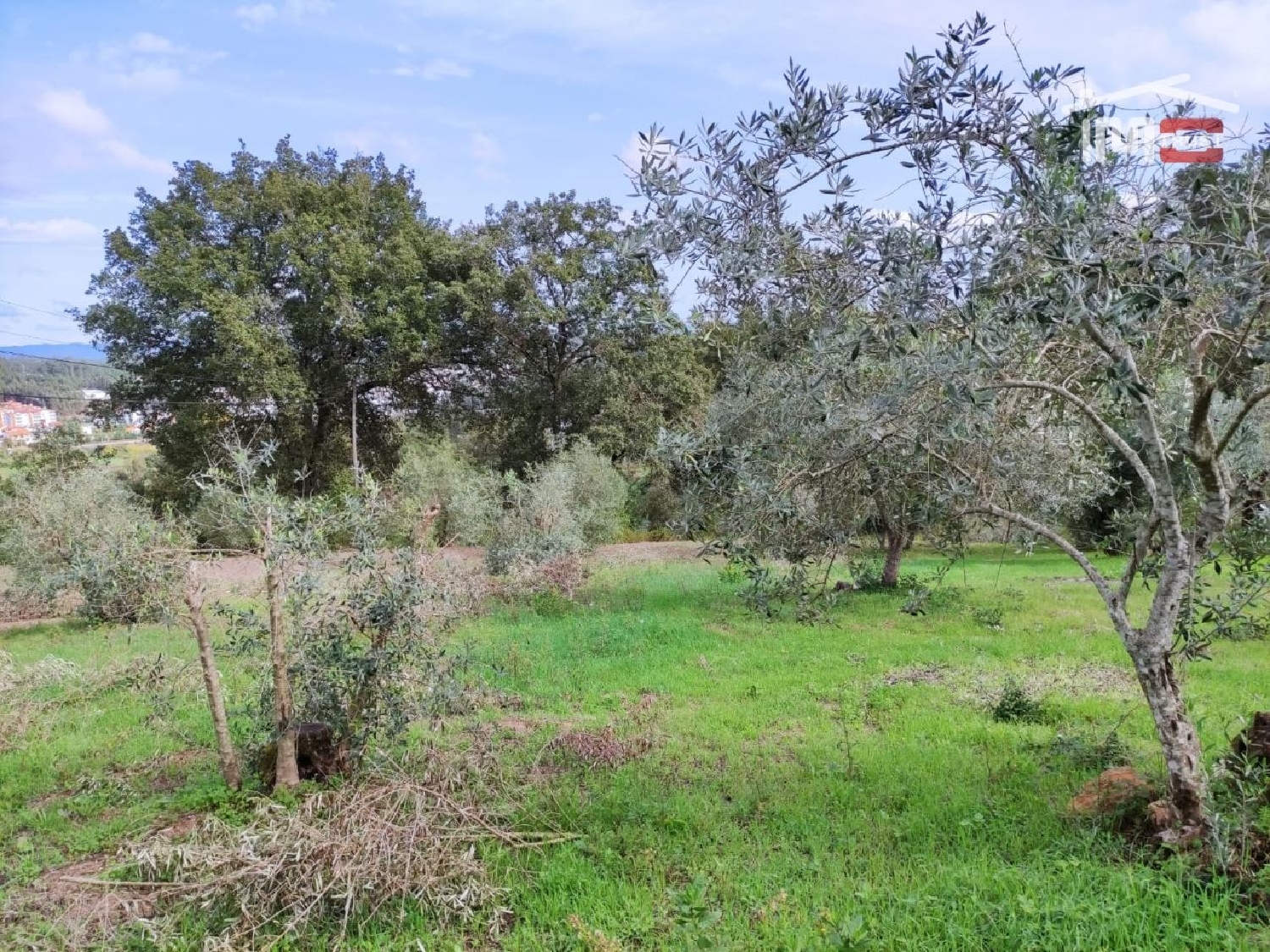 for sale terrain Seiça Ourém 2