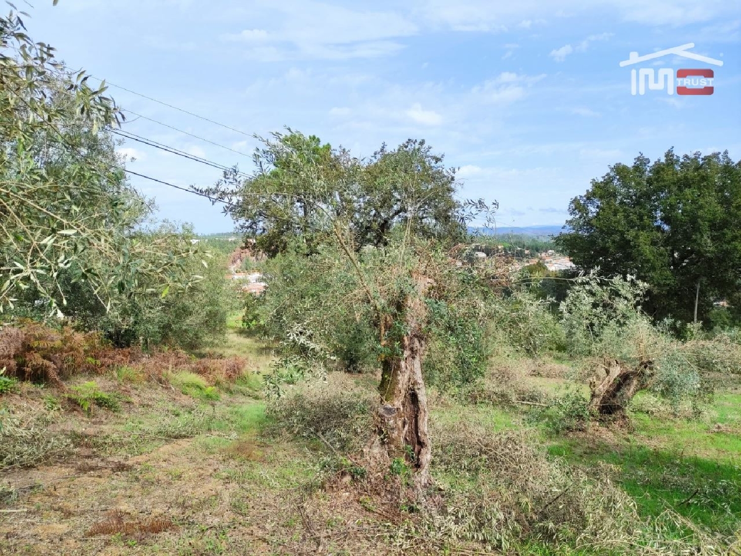 for sale terrain Seiça Ourém 3