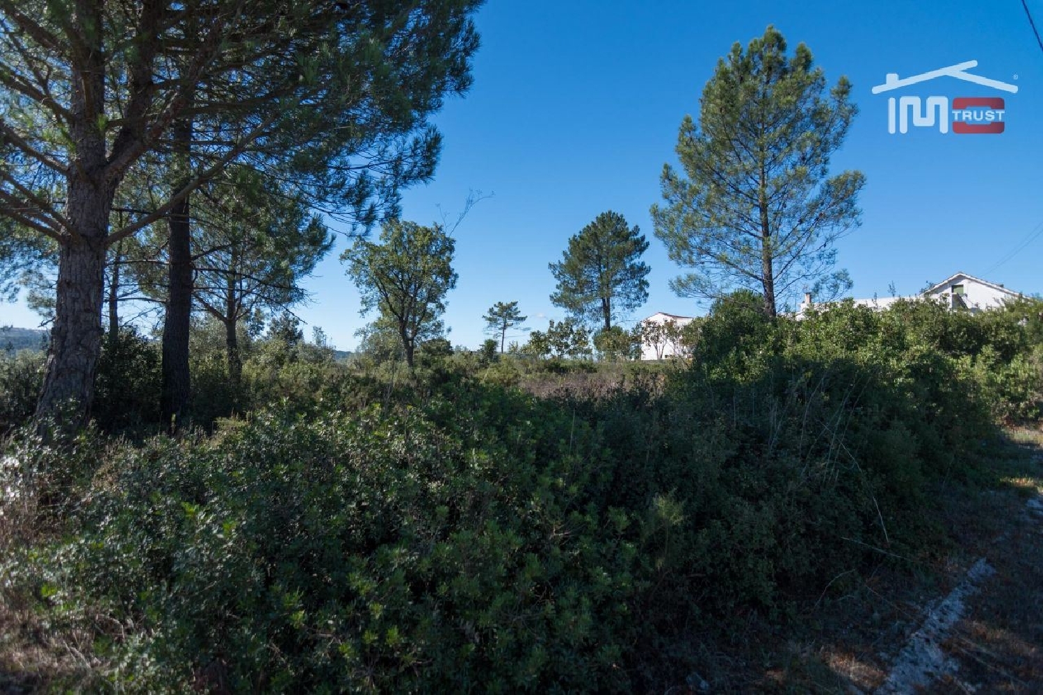 for sale terrain Seiça Ourém 2