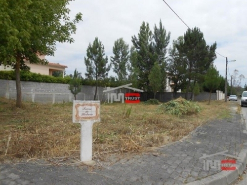 Seiça Ourém 土地 foto 326586