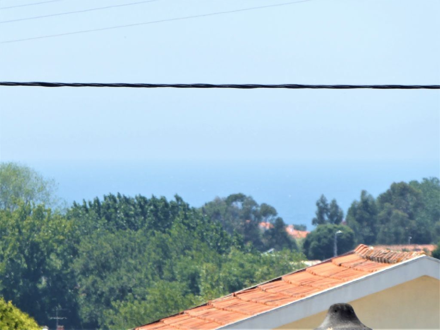 te koop terrein Seixezelo Vila Nova De Gaia 2