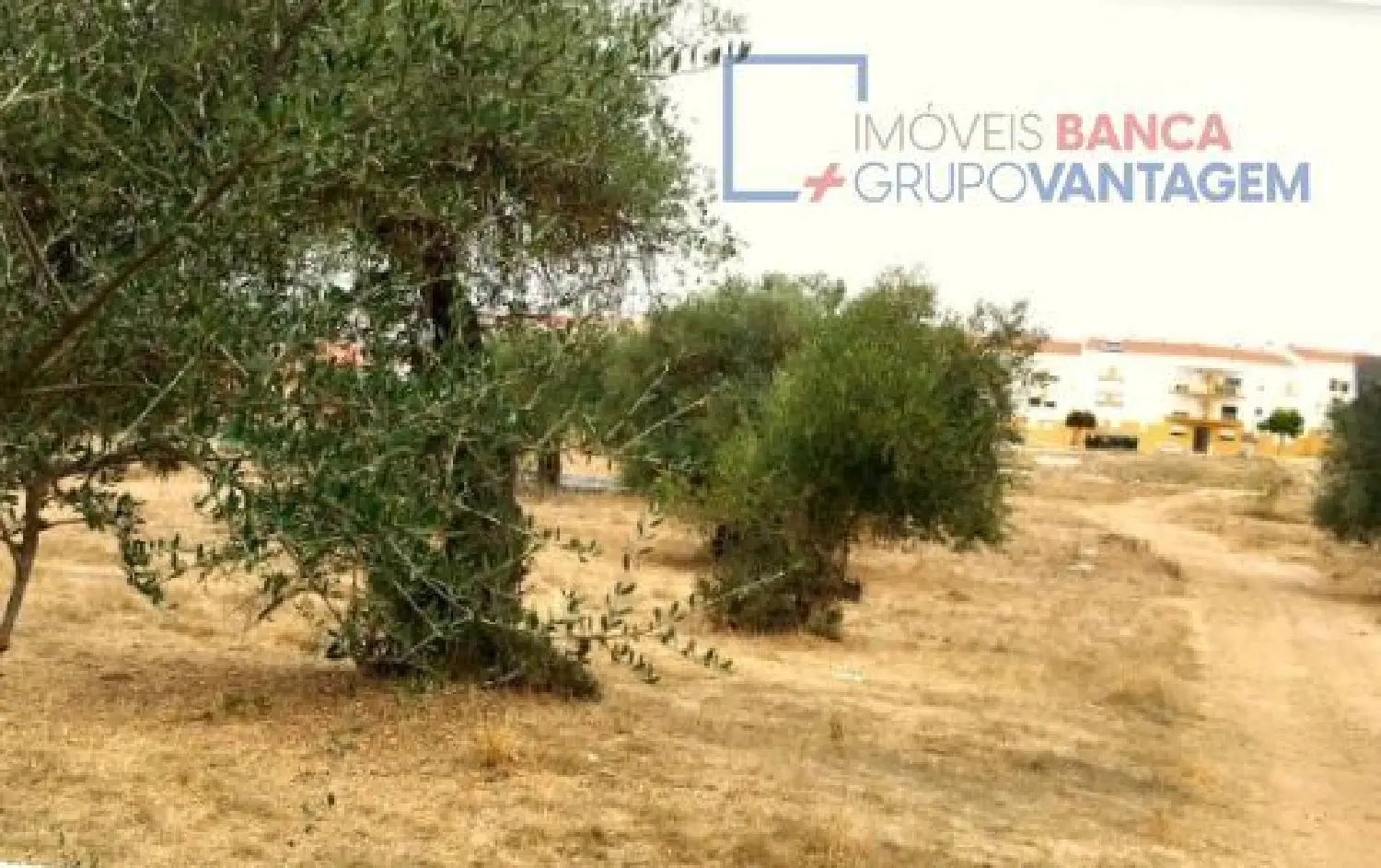  en venta terreno Serpa Serpa 3