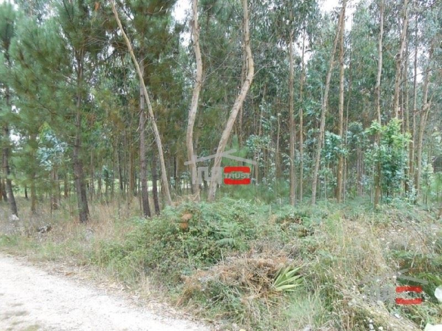 te koop terrein Serra Ansião 2