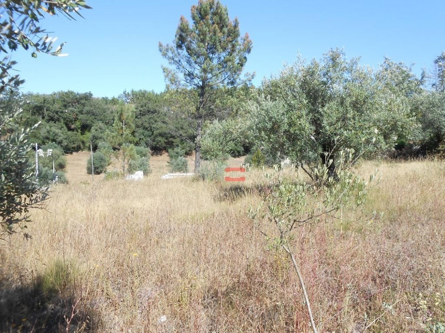te koop terrein Serra Ansião 2
