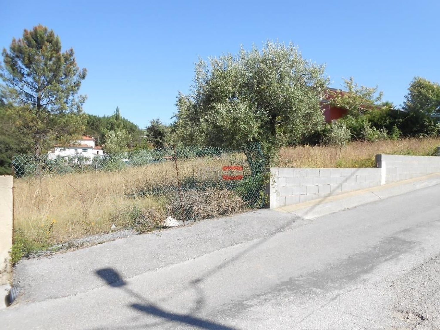 te koop terrein Serra Ansião 3