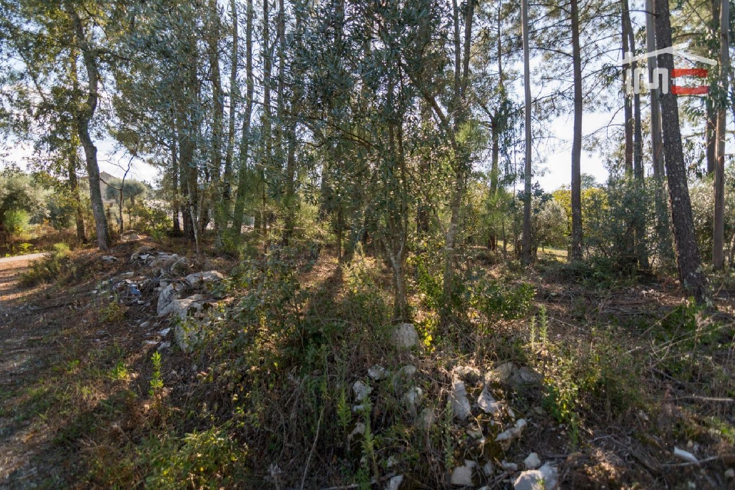  te koop terrein Serra Ansião 3