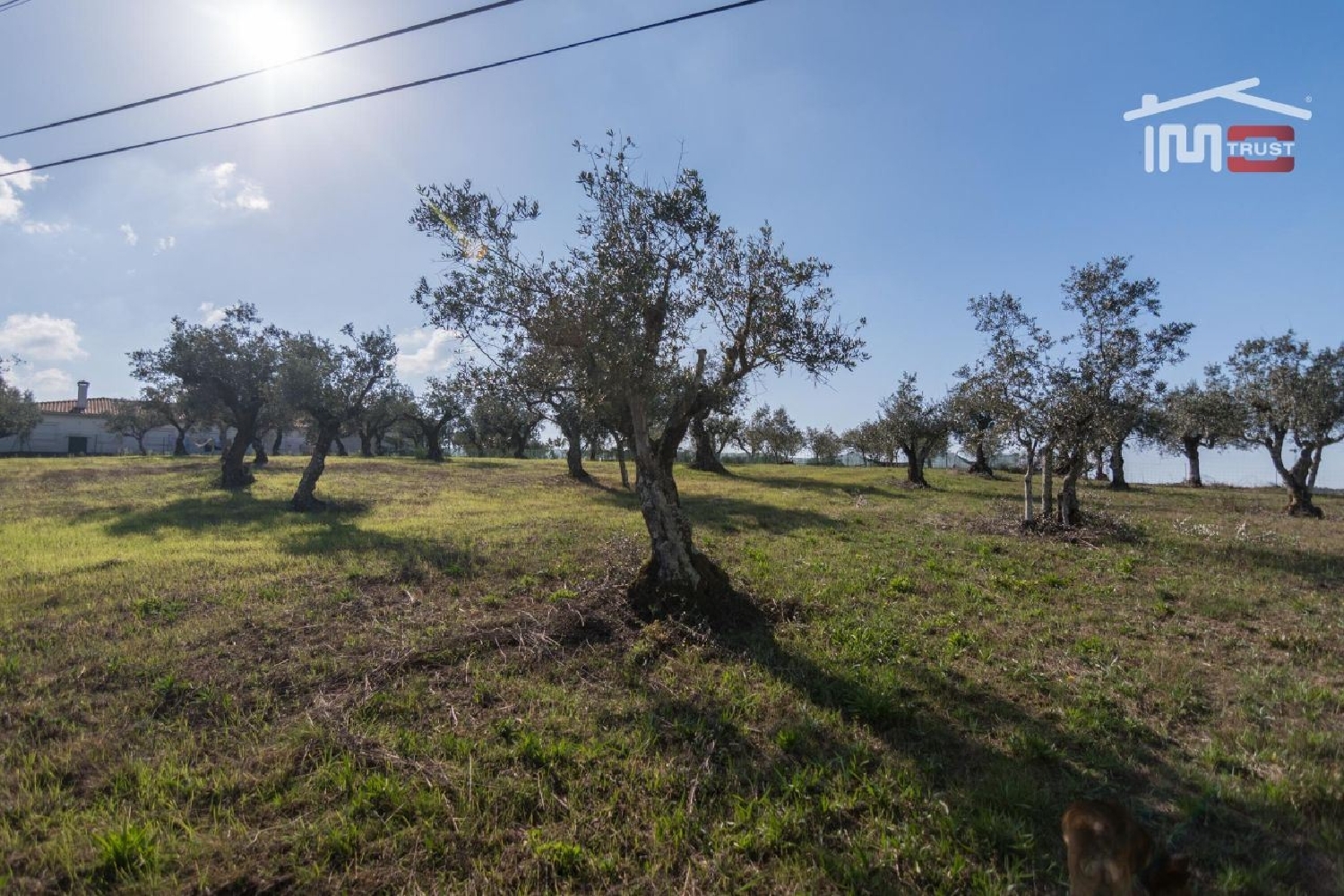  te koop terrein Serra Ansião 3