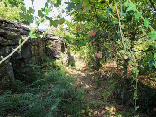 Serra Armamar tomt foto 316492