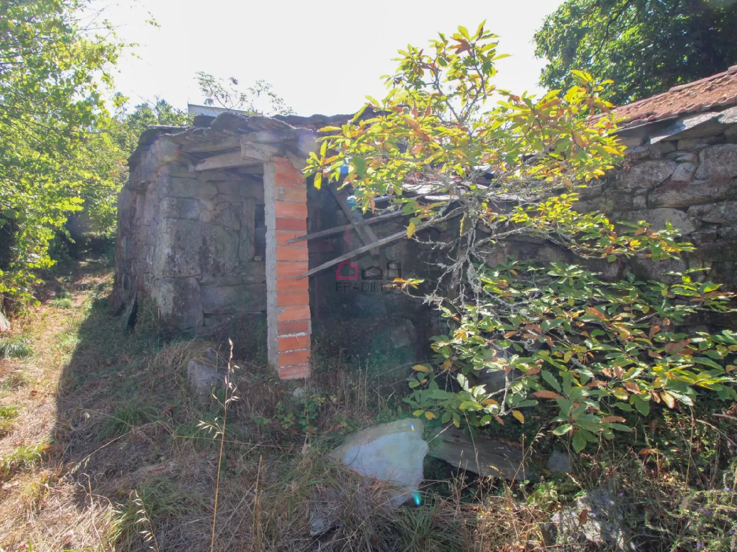  köpa tomt Serra Armamar 8