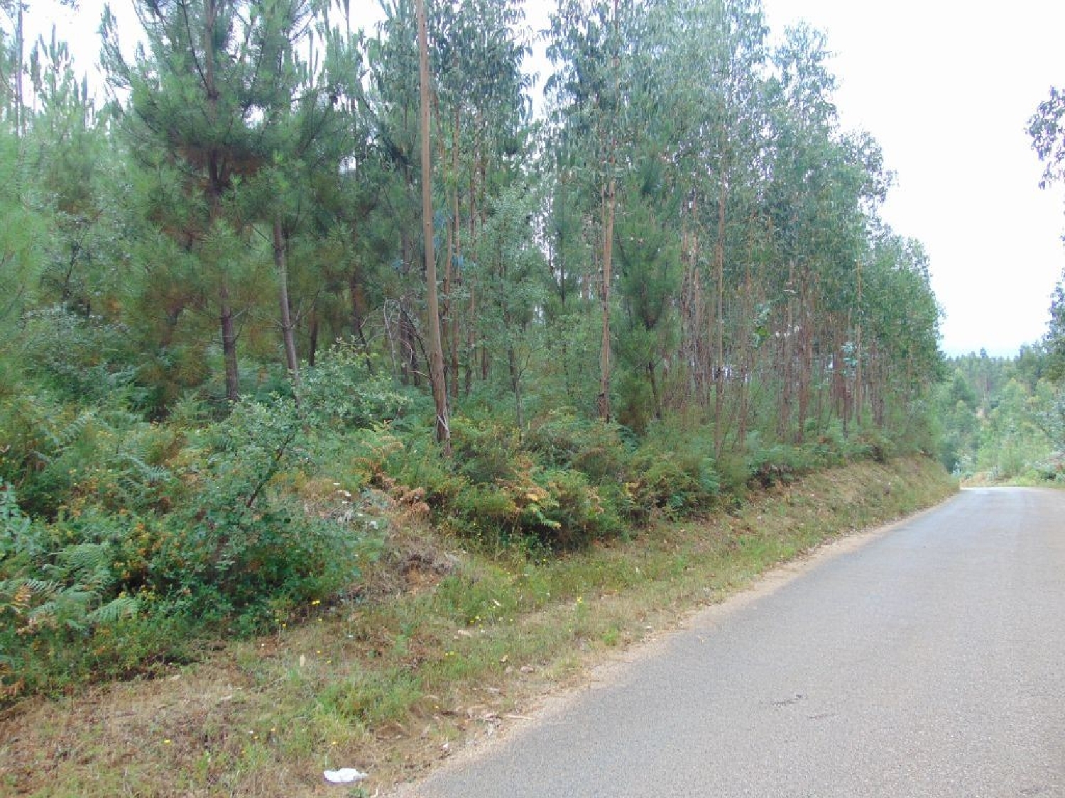  te koop terrein Sertã Sertã 1