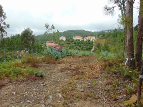 Sertã Sertã terrein foto 327169