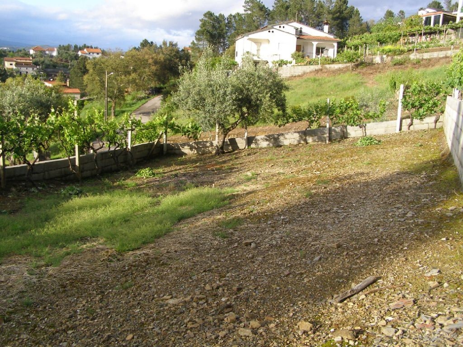  te koop terrein Sertã Sertã 2