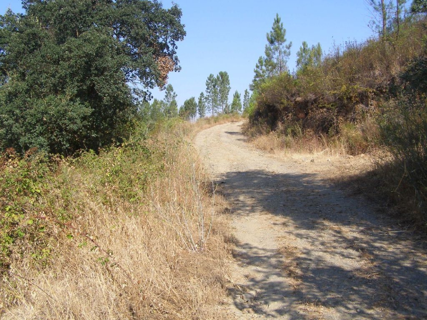 te koop terrein Sertã Sertã 3