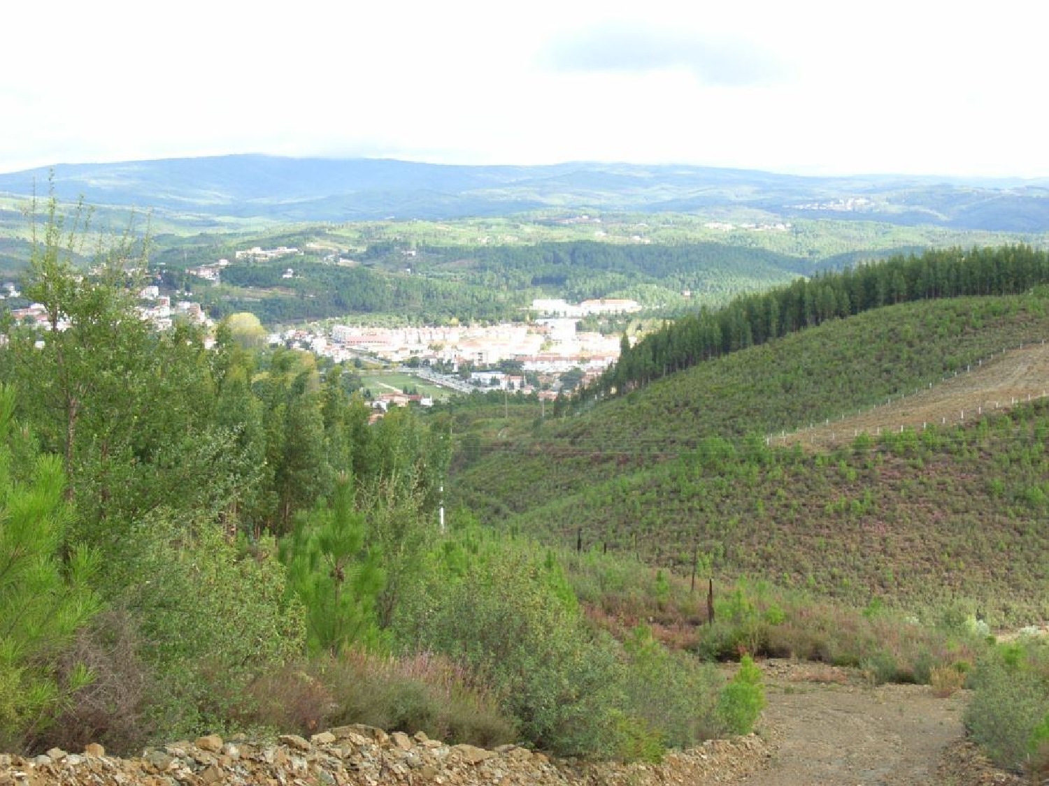 te koop terrein Sertã Sertã 2