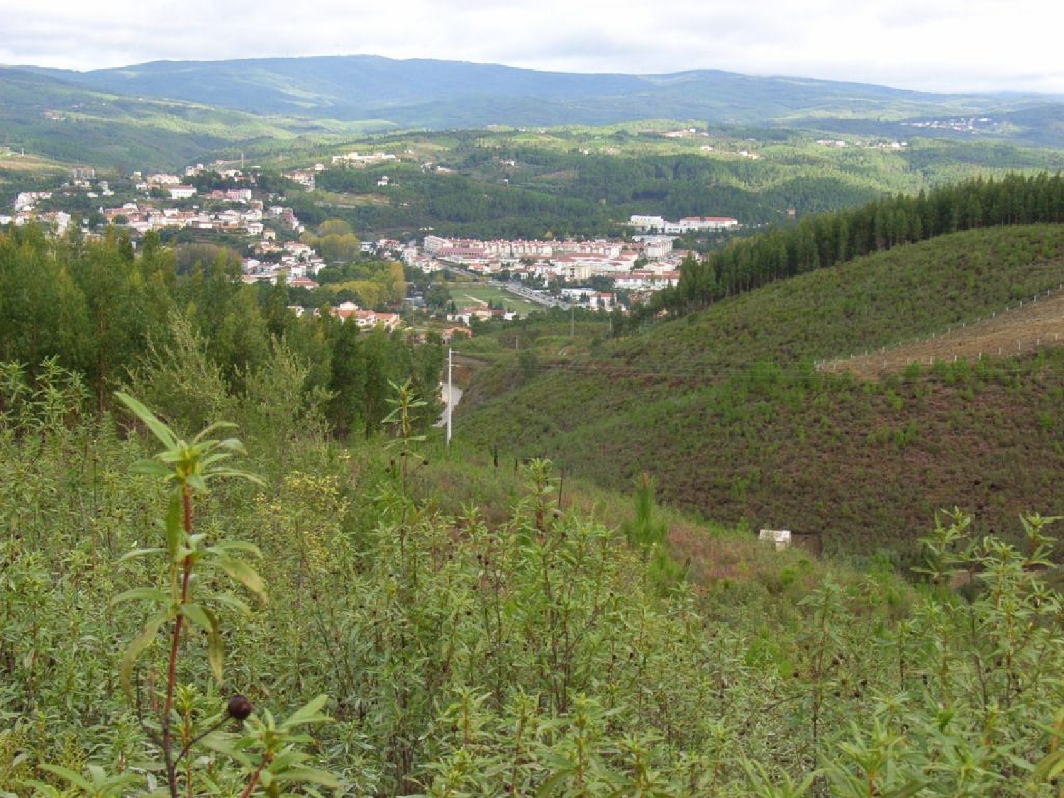te koop terrein Sertã Sertã 3