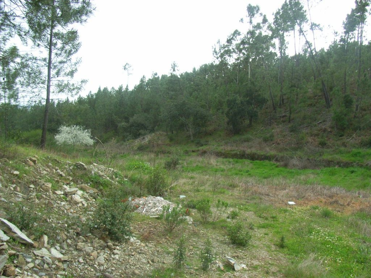 te koop terrein Sertã Sertã 3