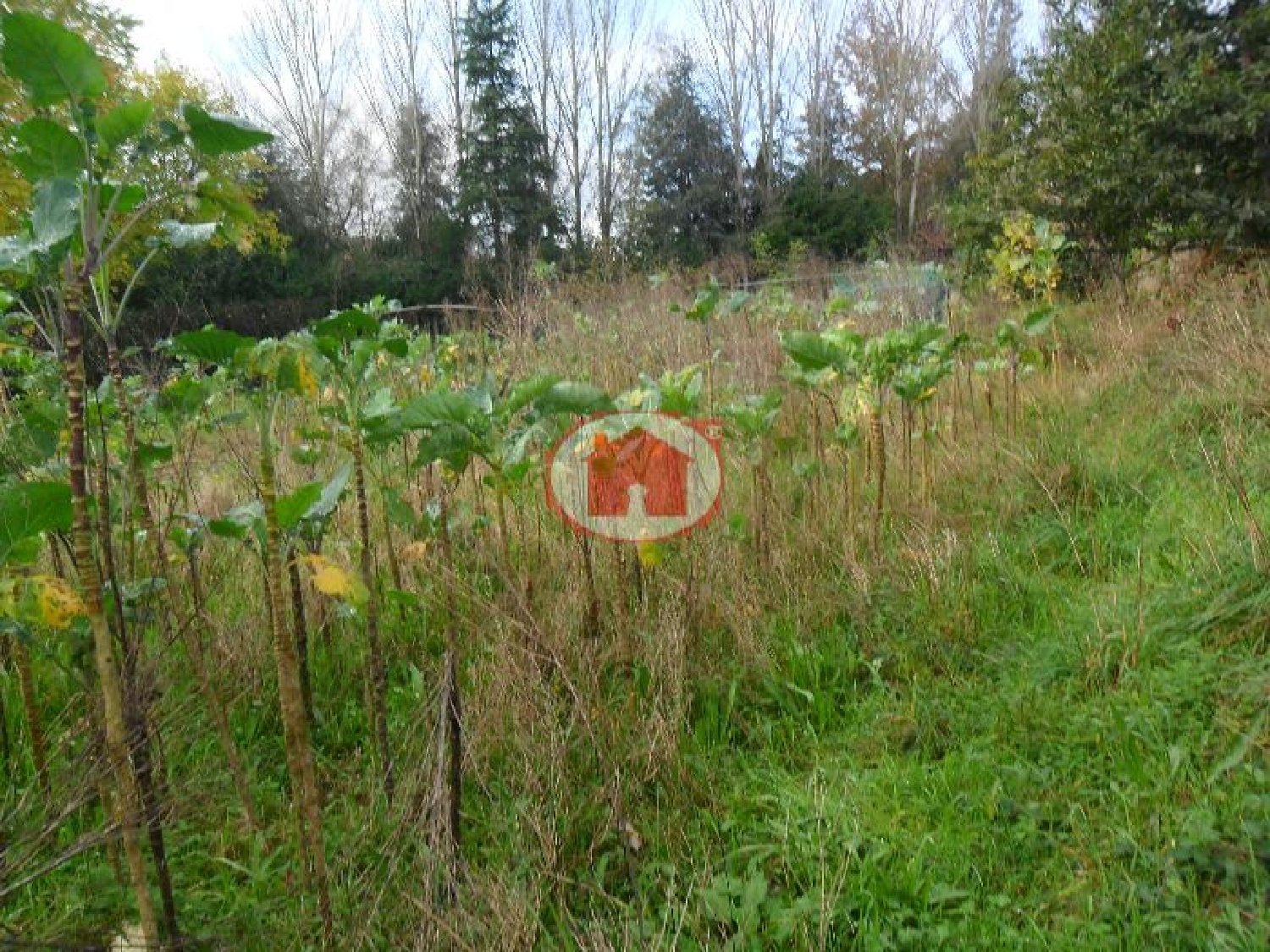  te koop terrein Serzedo Guimarães 1