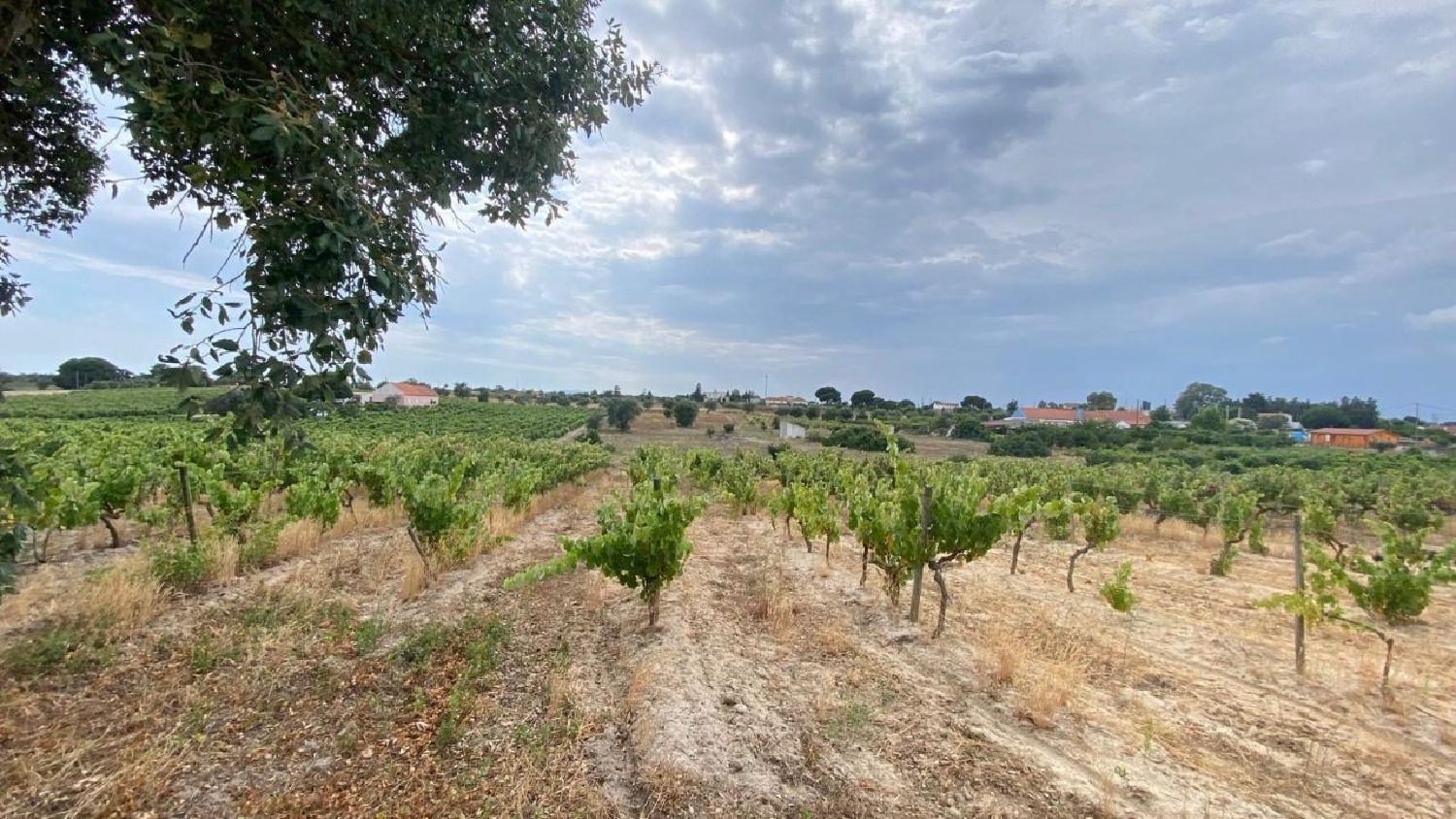  te koop terrein Setúbal Setúbal 1