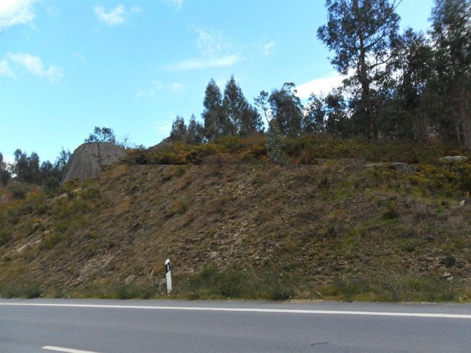  à venda terreno Silvares Viseu 1