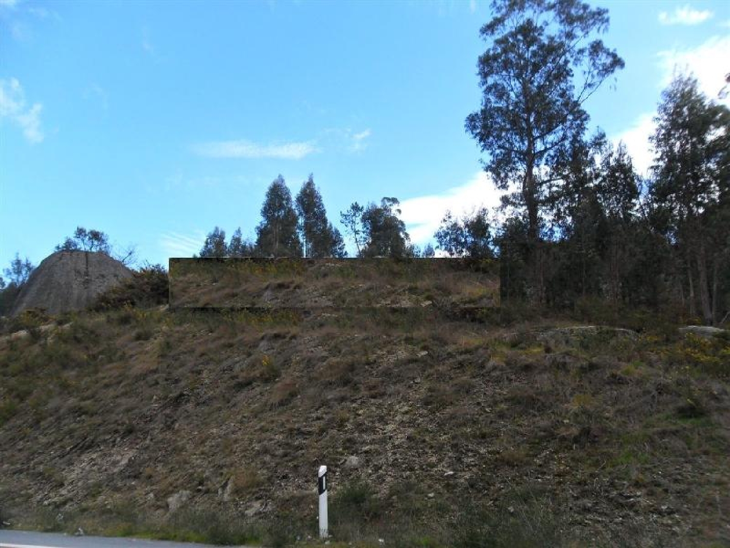 à venda terreno Silvares Viseu 3