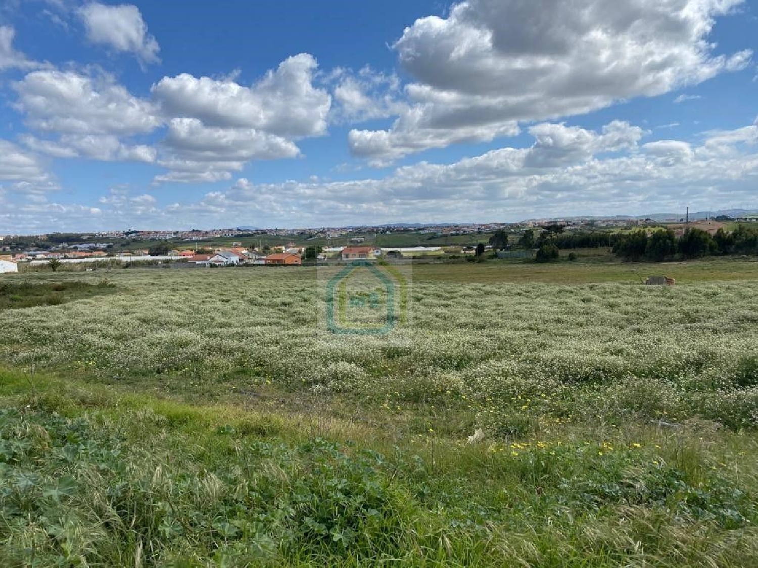 te koop terrein Silveira Torres Vedras 3