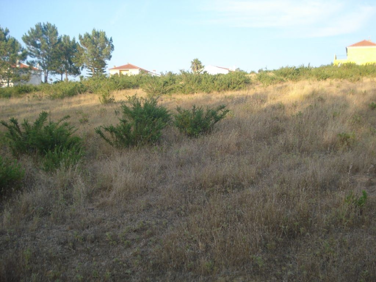  te koop terrein Silveira Torres Vedras 1