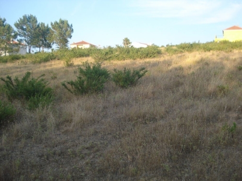 Silveira Torres Vedras terrein foto 324940