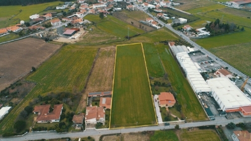 Silveiros Barcelos terrein foto 322784