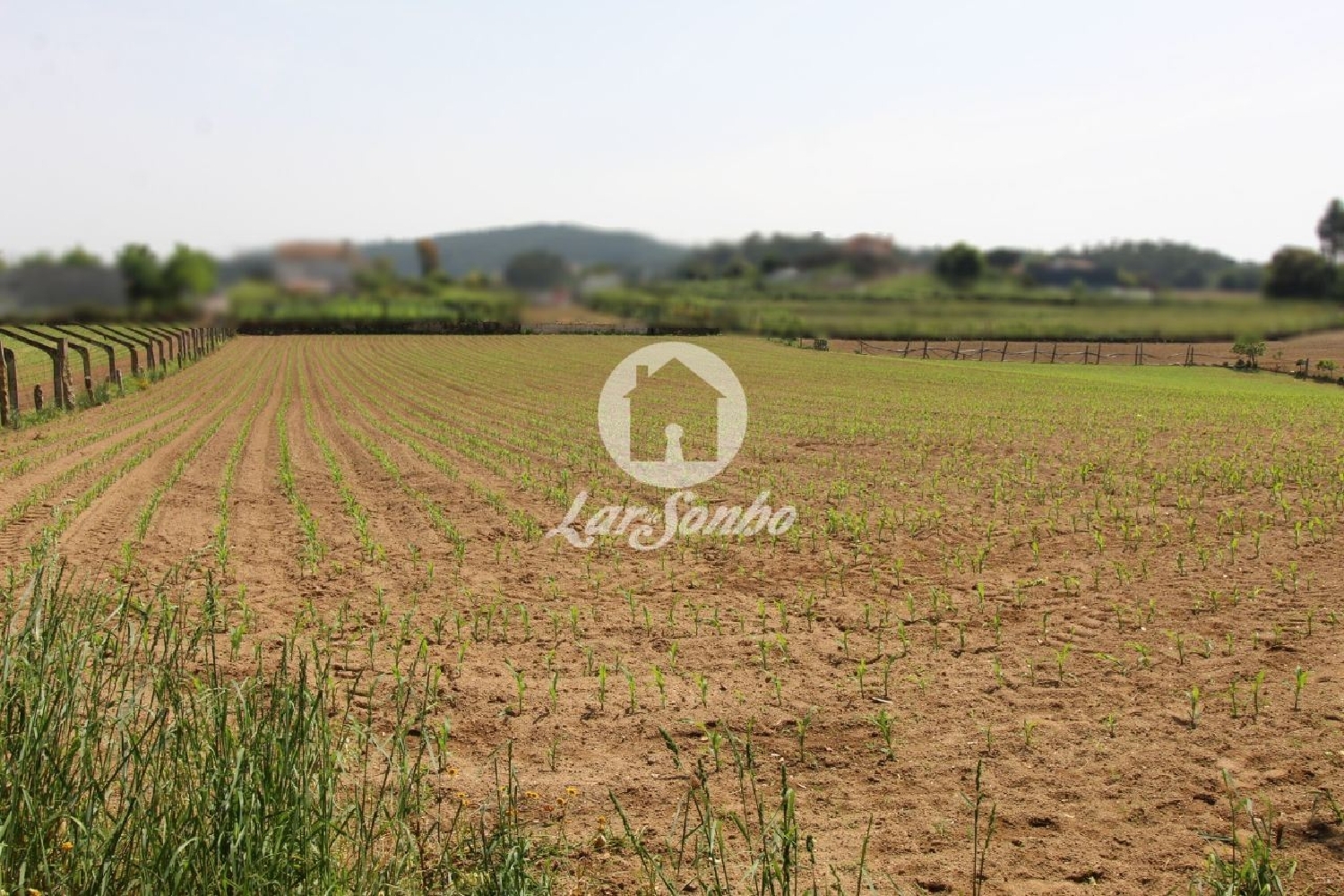 à venda terreno Silveiros Barcelos 2