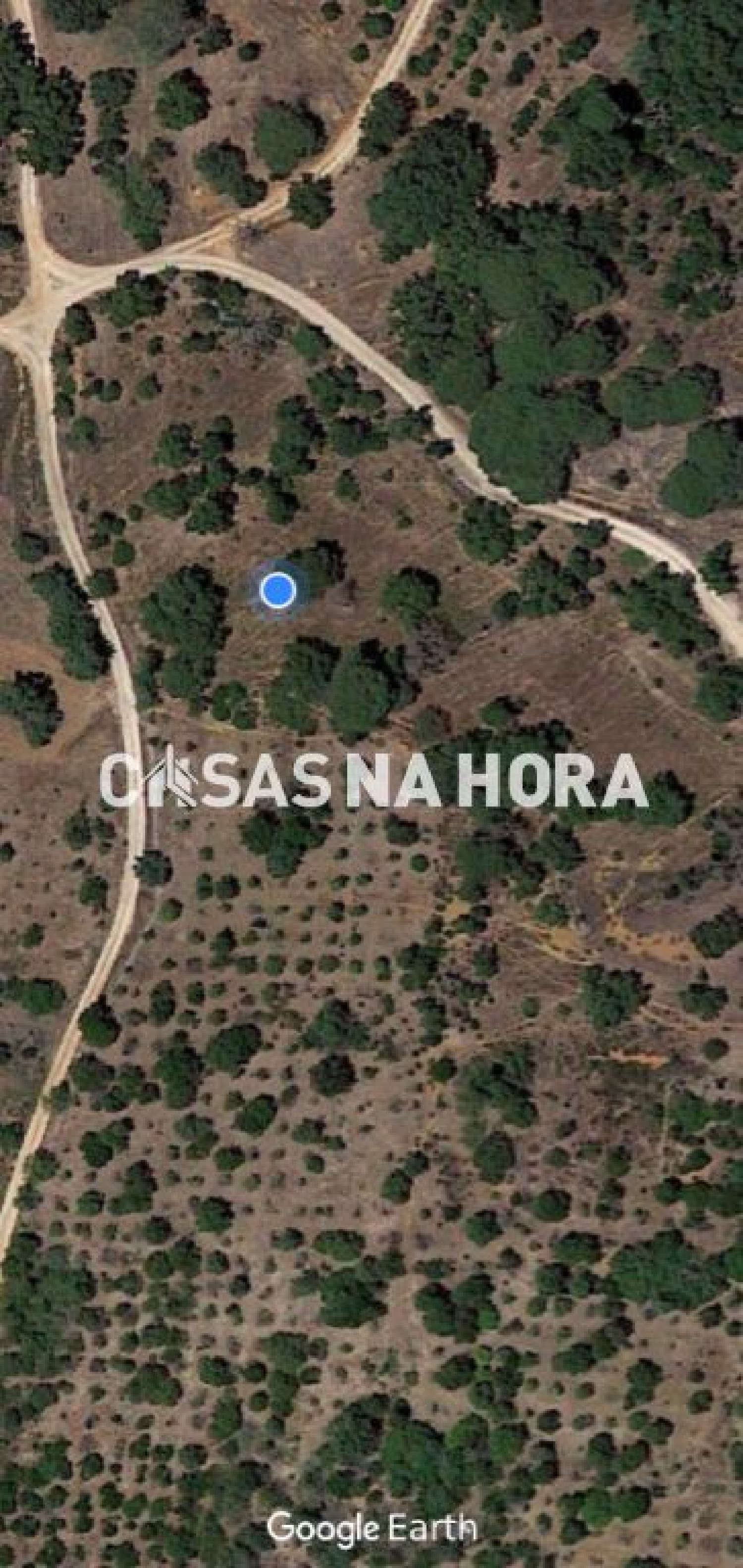  à venda terreno Silves Silves 1