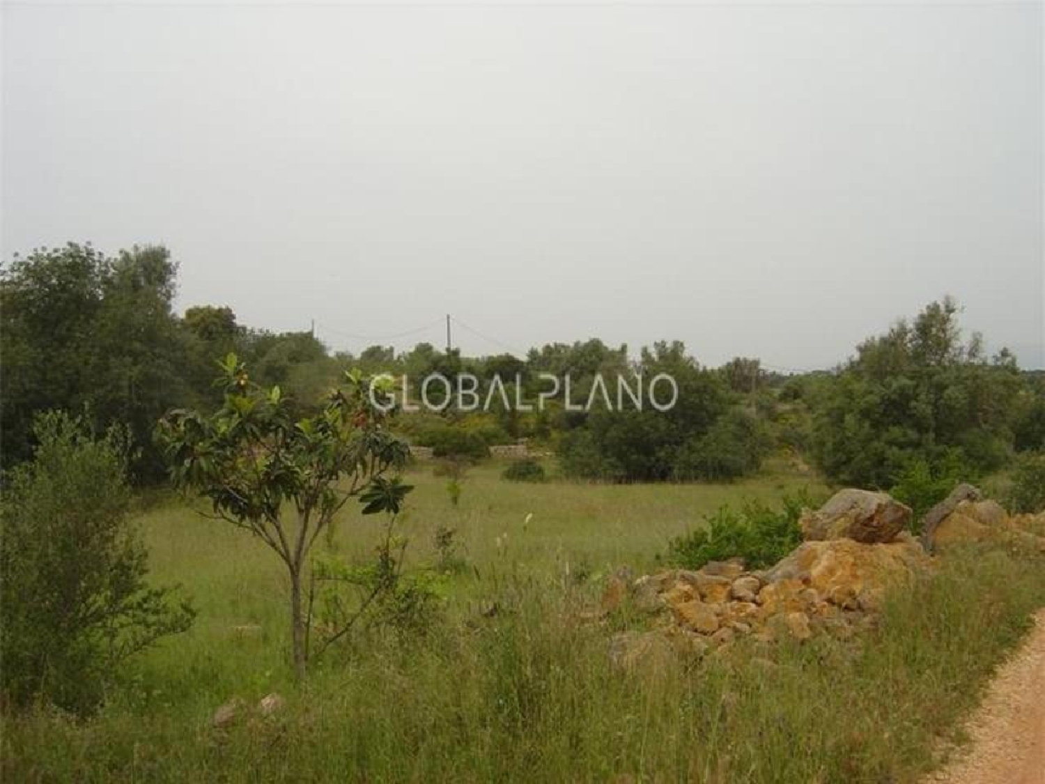 à venda terreno Silves Silves 3