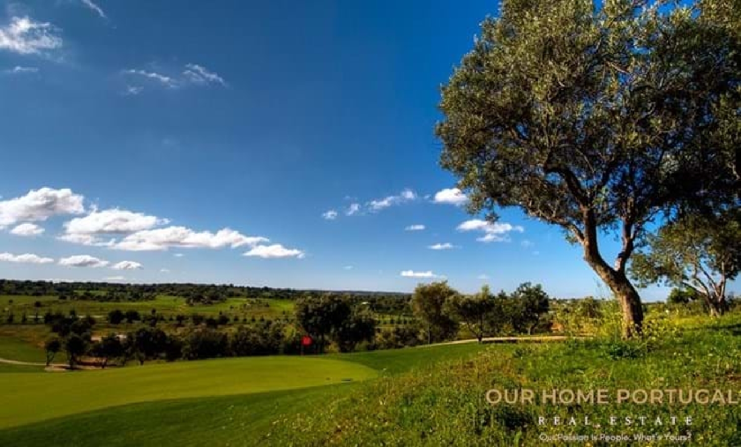  à vendre terrain Silves Silves 4