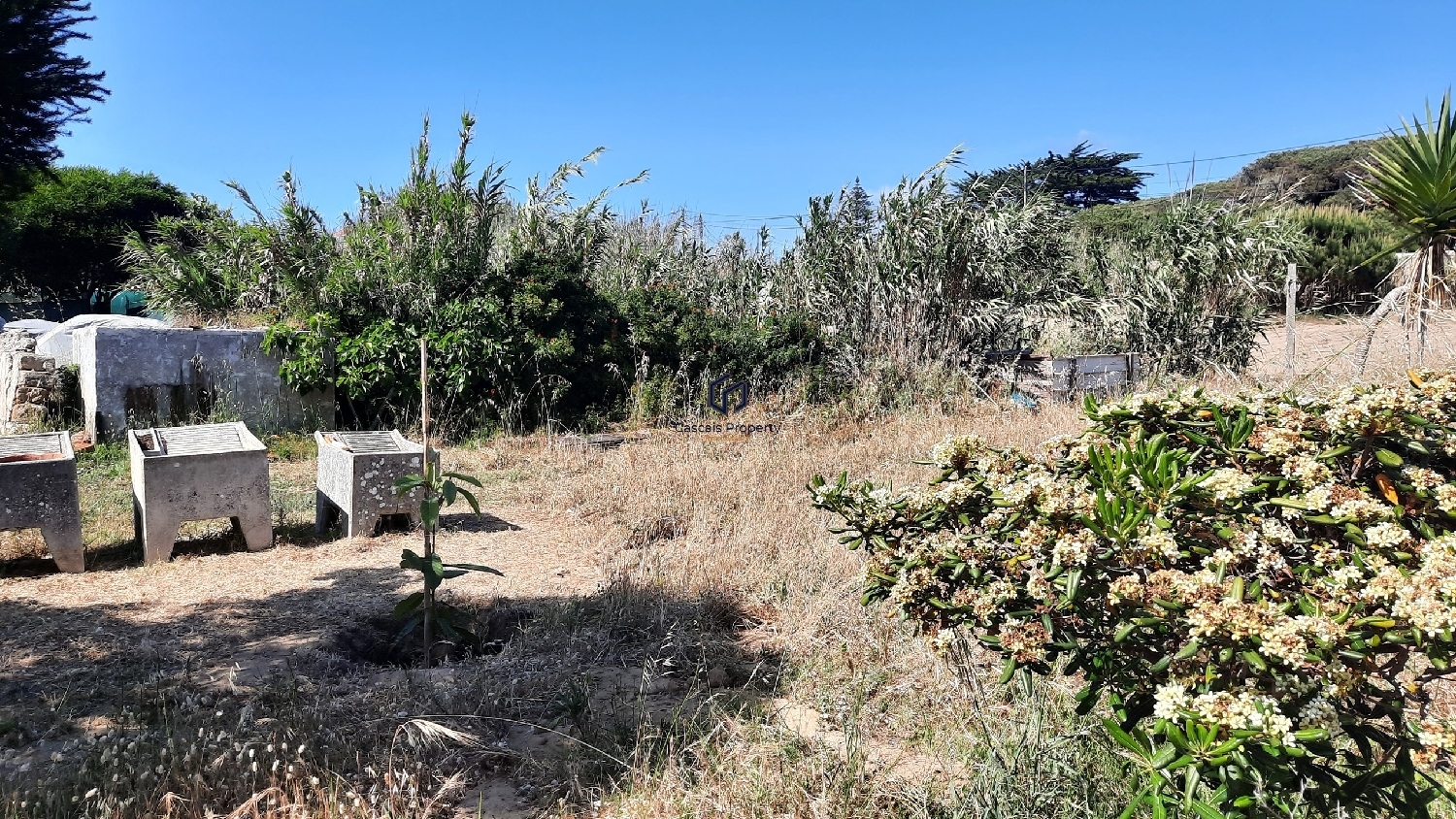  en venta terreno Sintra Sintra 6