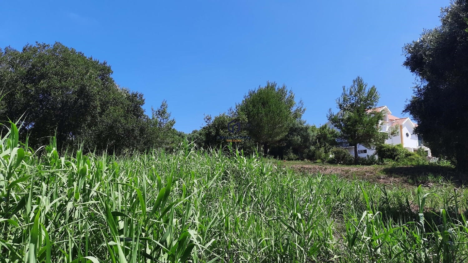  à vendre terrain Sintra Sintra 1
