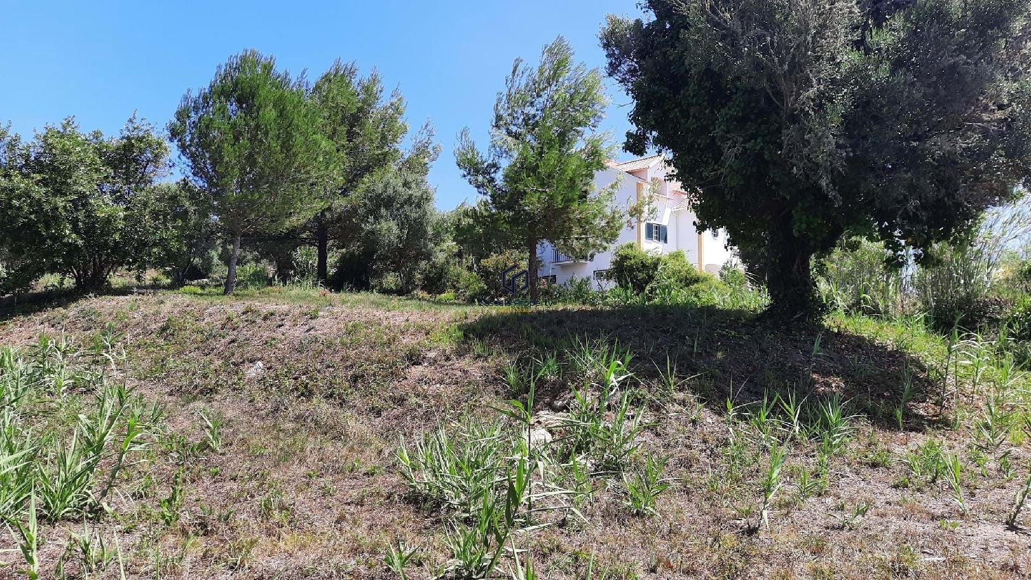  à vendre terrain Sintra Sintra 5