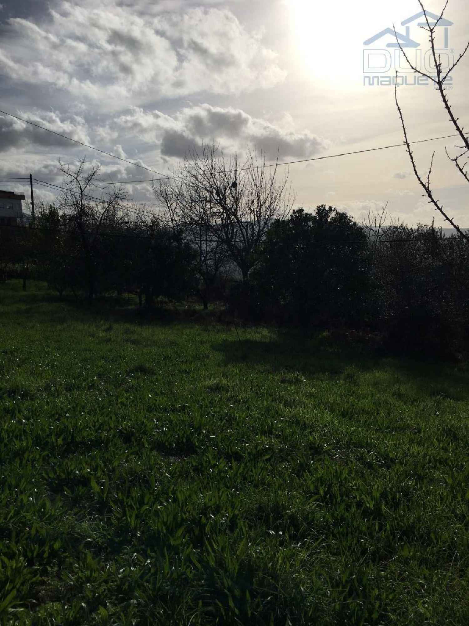 à venda terreno Souselo Cinfães 2