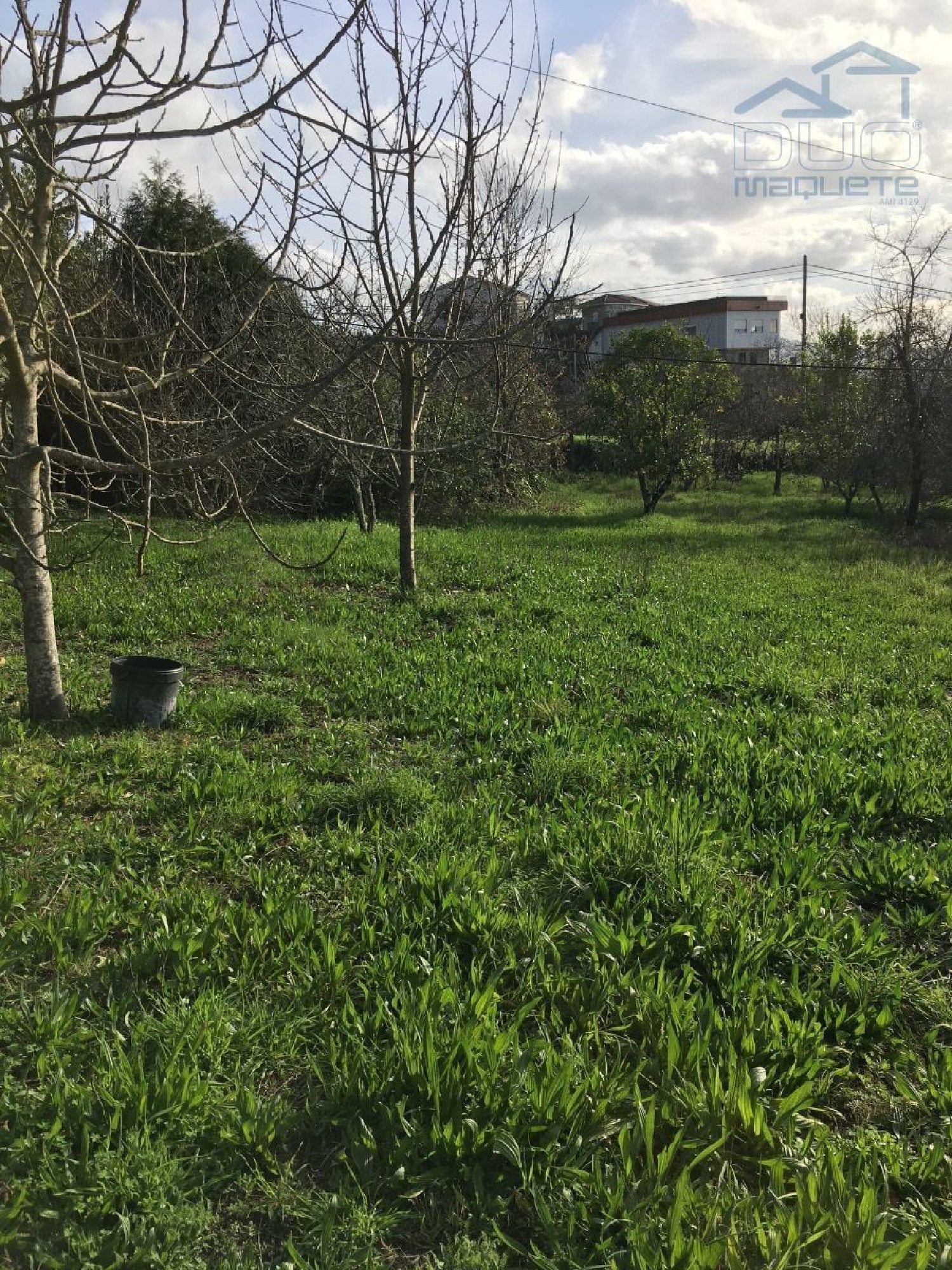 à venda terreno Souselo Cinfães 3