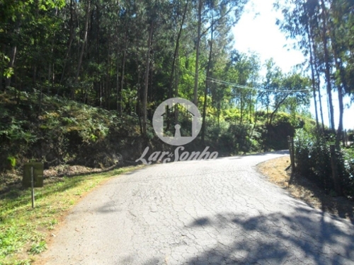 Souto São Salvador Guimarães terrein foto 329079