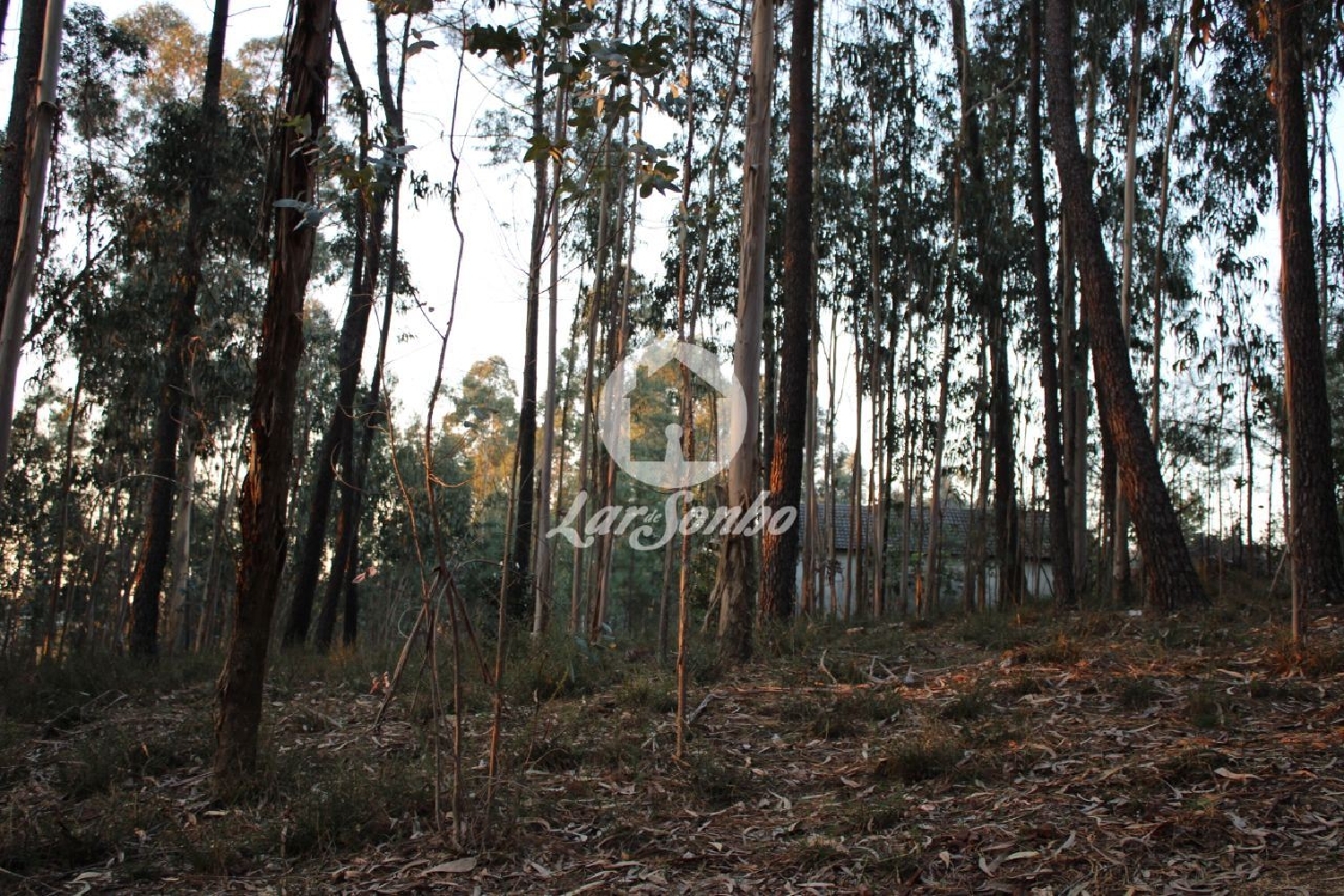 à venda terreno Tamel Barcelos 3