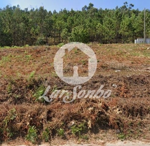Tamel Barcelos terrain foto 327066