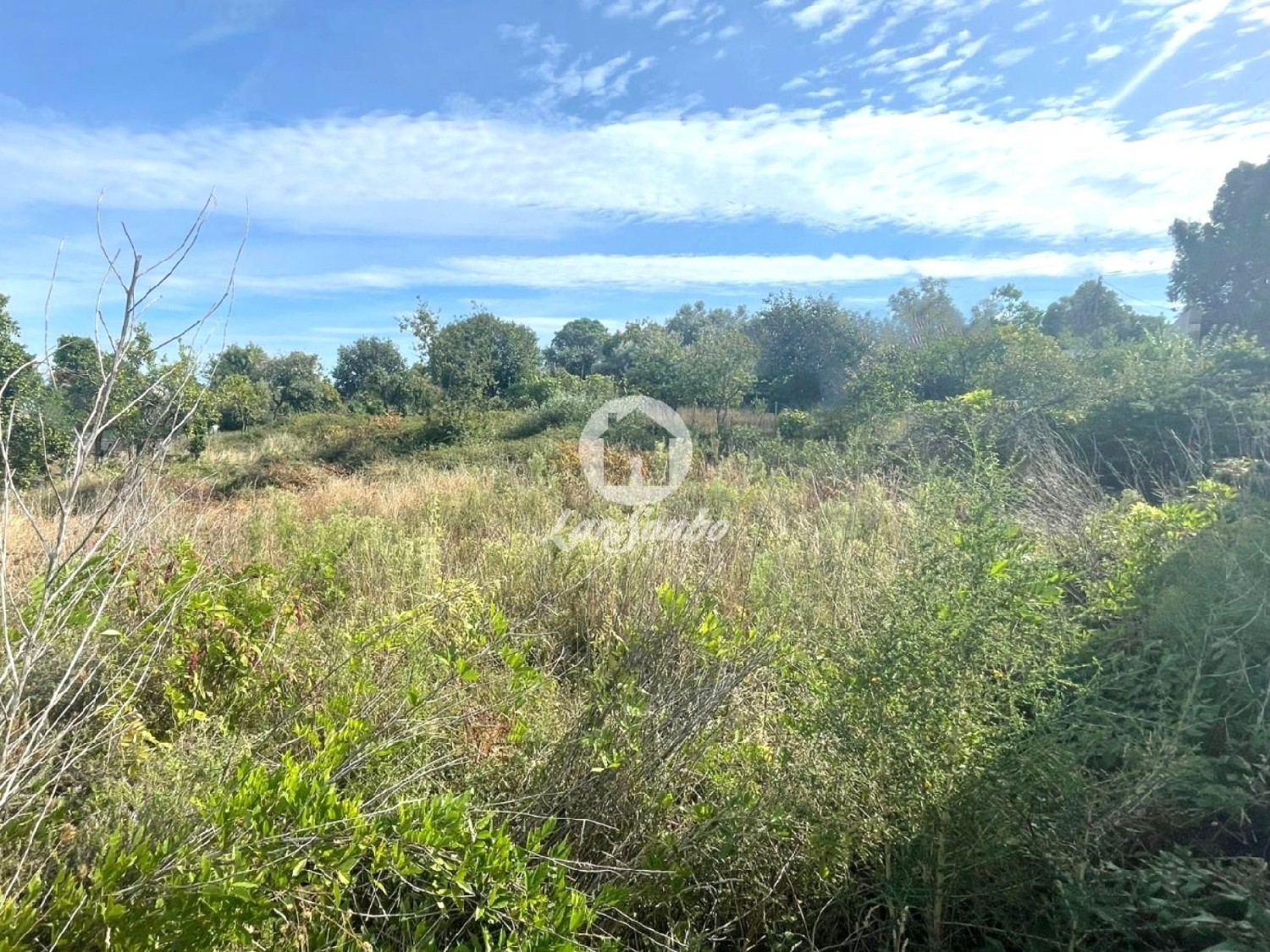 à venda terreno Tamel Barcelos 2