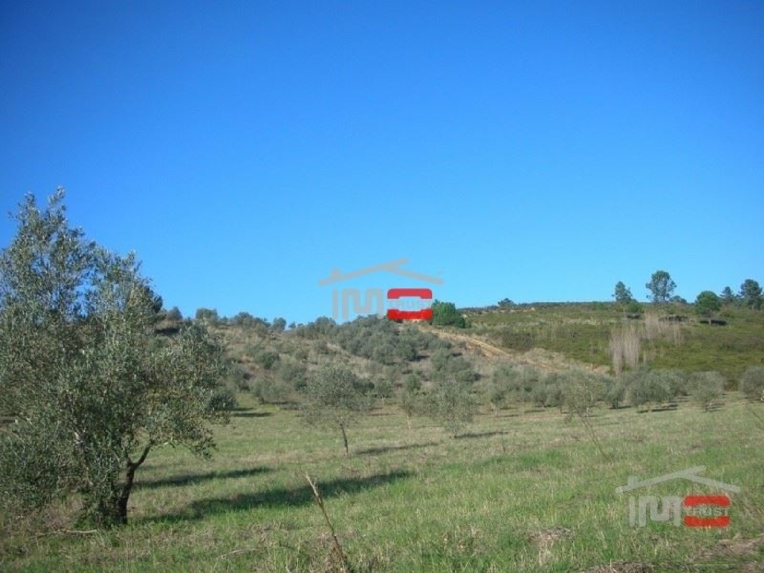 à vendre terrain Tomar Tomar 2