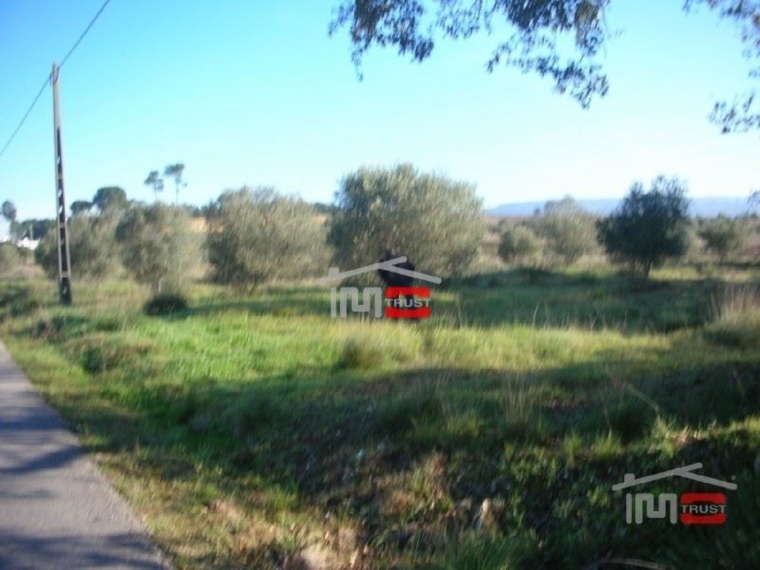 à vendre terrain Tomar Tomar 2