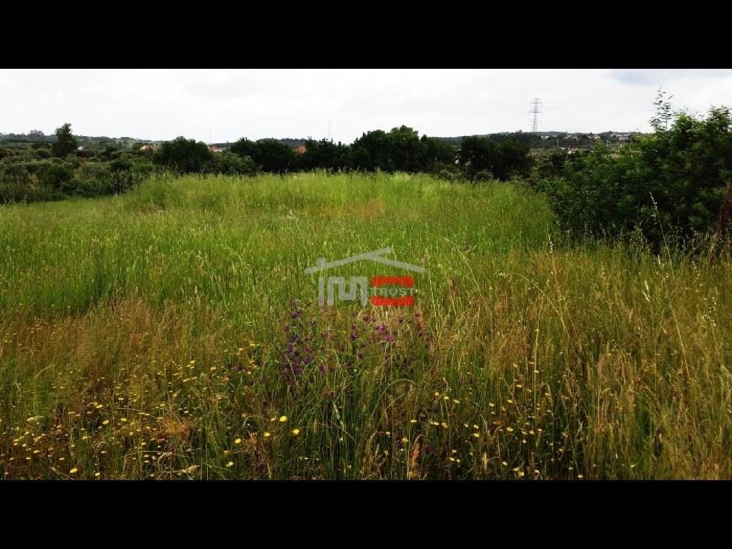  à vendre terrain Tomar Tomar 1