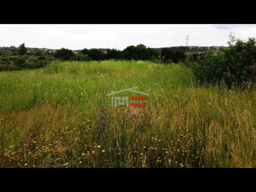 Tomar Tomar terrain foto 326899